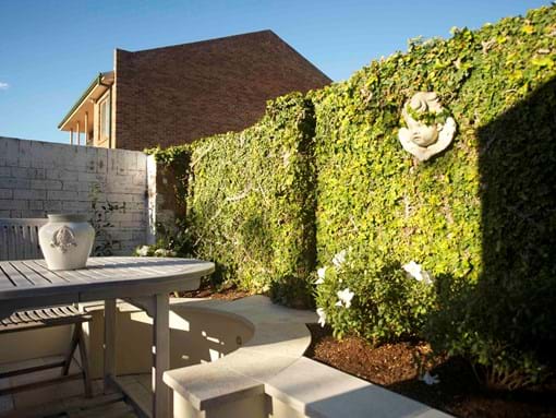 Landscape design for Inner city French terrace courtyard