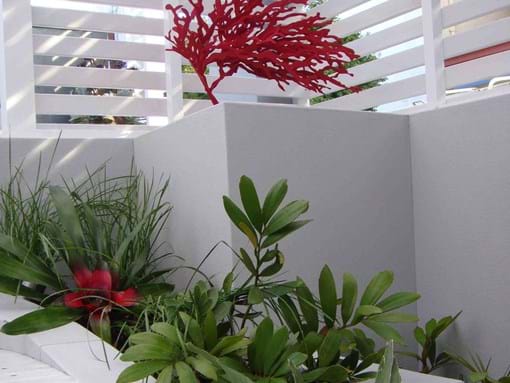 Landscape design for Retro inner city Courtyard Garden