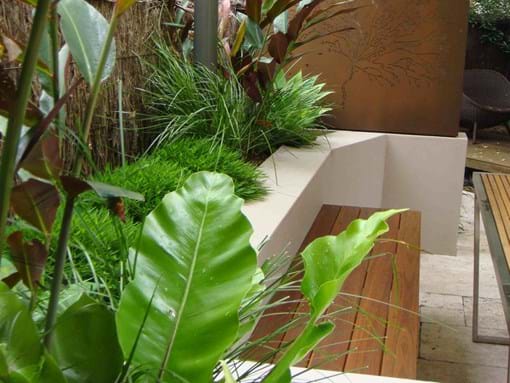 Residential Inner city Landscape design for Entertaining courtyard