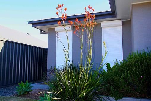 Landscape design for new contemporary front garden in Port Stephens NSW