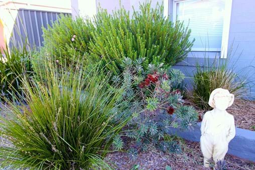 Landscape design for new contemporary backyard garden in Port Stephens NSW